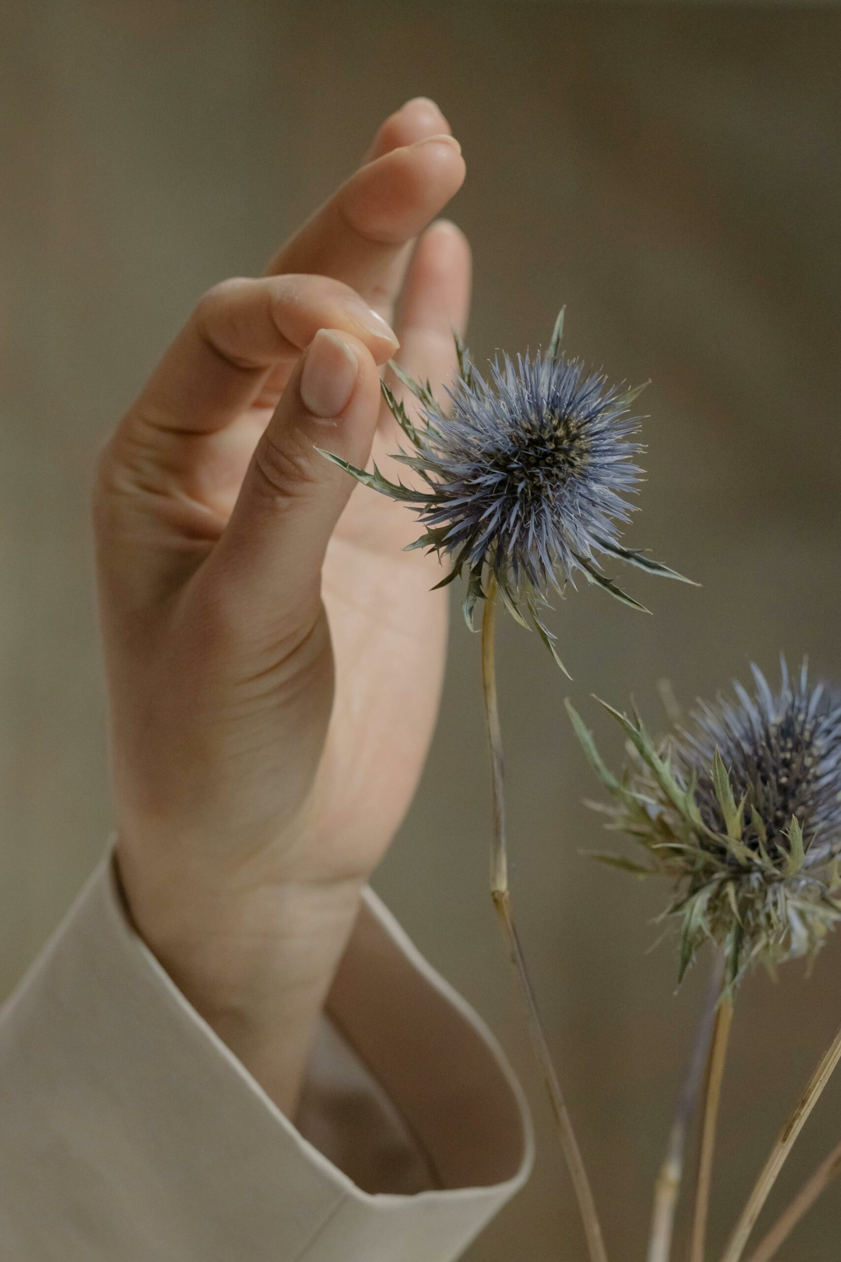 A close-up photo of a hand gently touching a blue thistle against a neutral background.