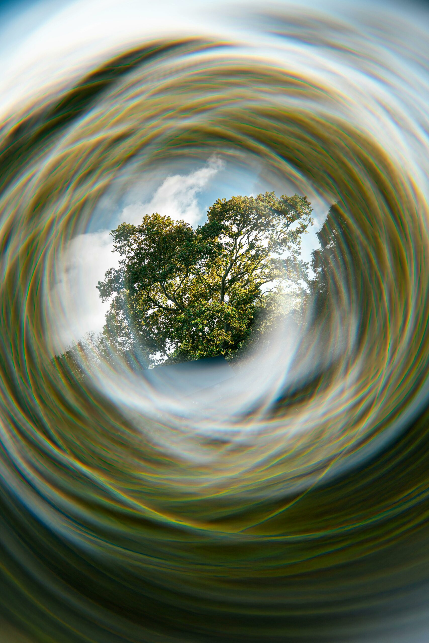 Artistic representation of a tree through a swirling vortex, blending nature and abstract art.